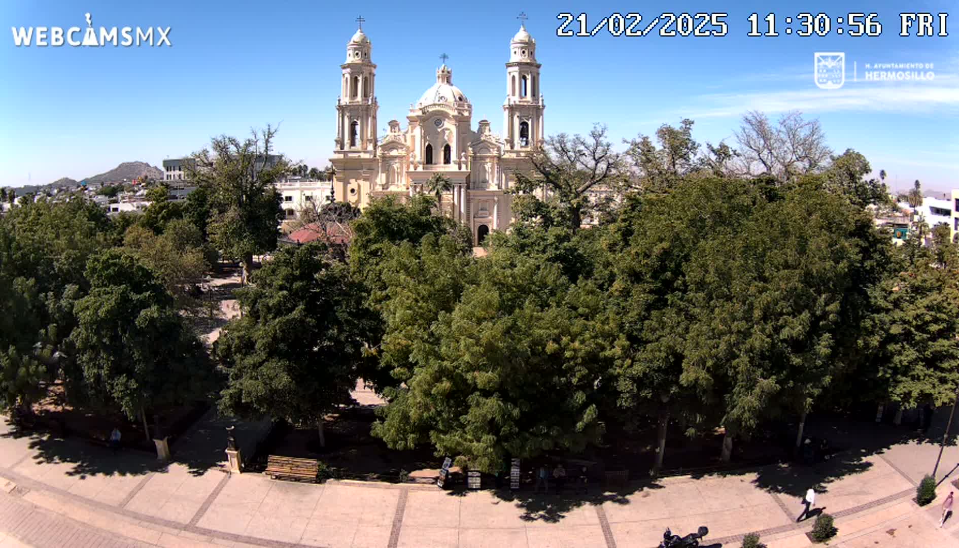 A large, light-colored cathedral stands behind a plaza filled with leafy green trees under a clear, sunny sky.