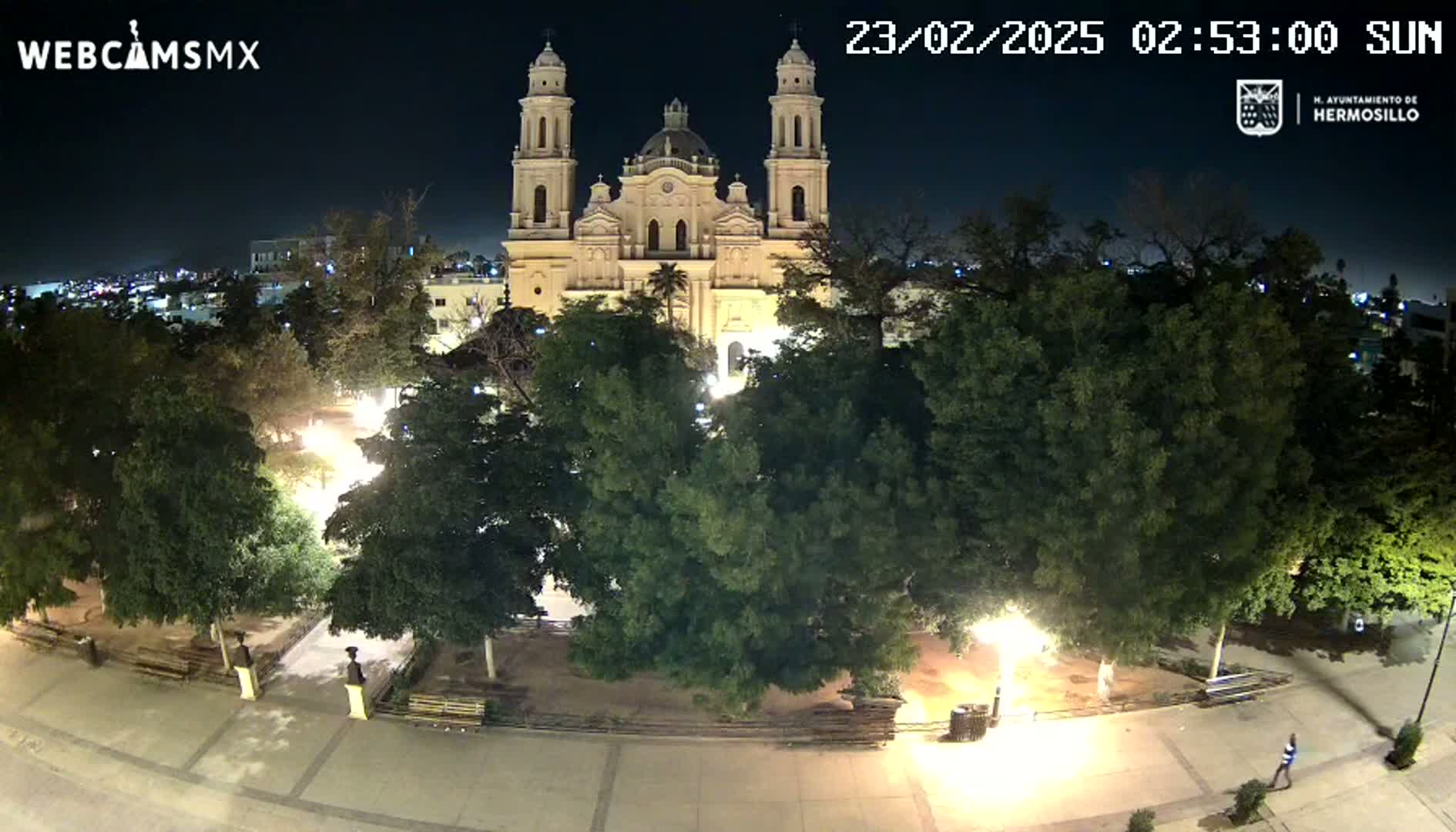 A brightly lit cathedral stands in a plaza at night, surrounded by leafy green trees under a clear, dark sky.