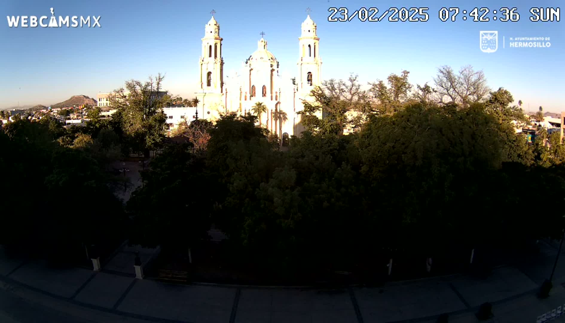 A large, light-colored cathedral is visible through a canopy of trees on a sunny day.