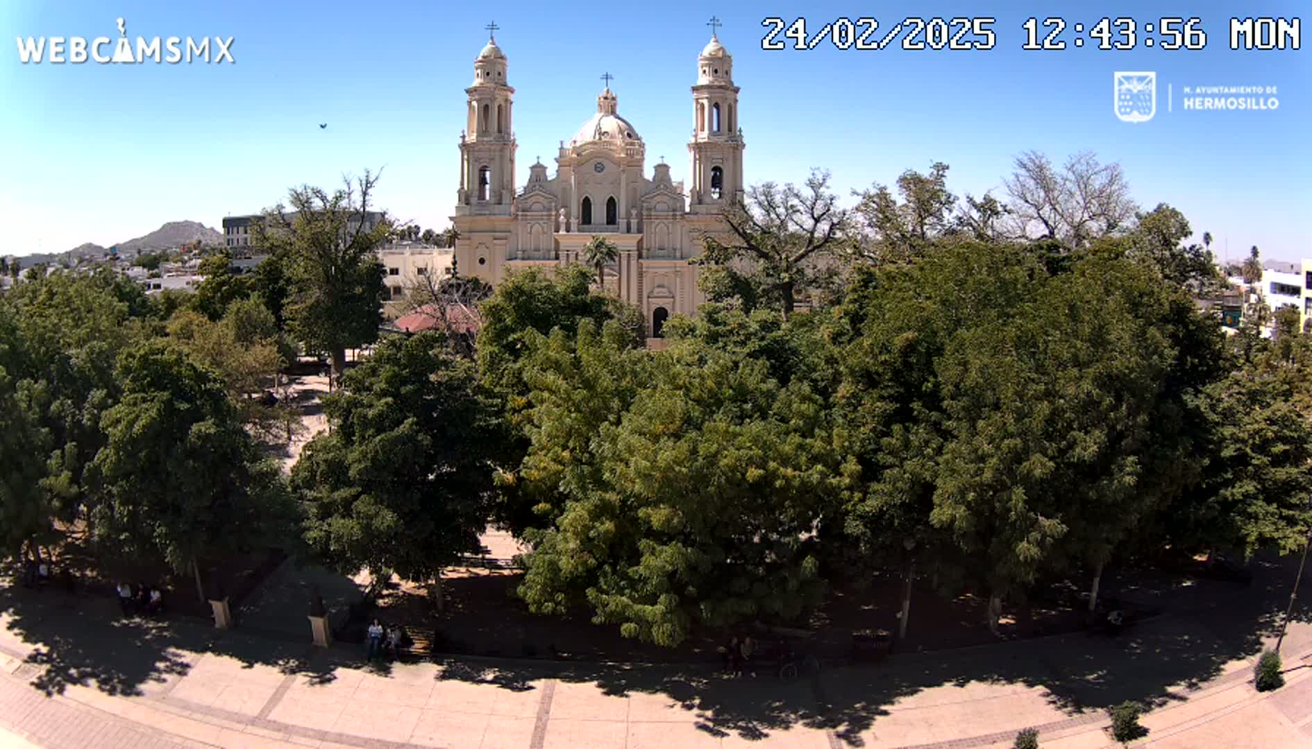A large, light-colored cathedral stands behind a plaza filled with leafy green trees under a clear blue sky.