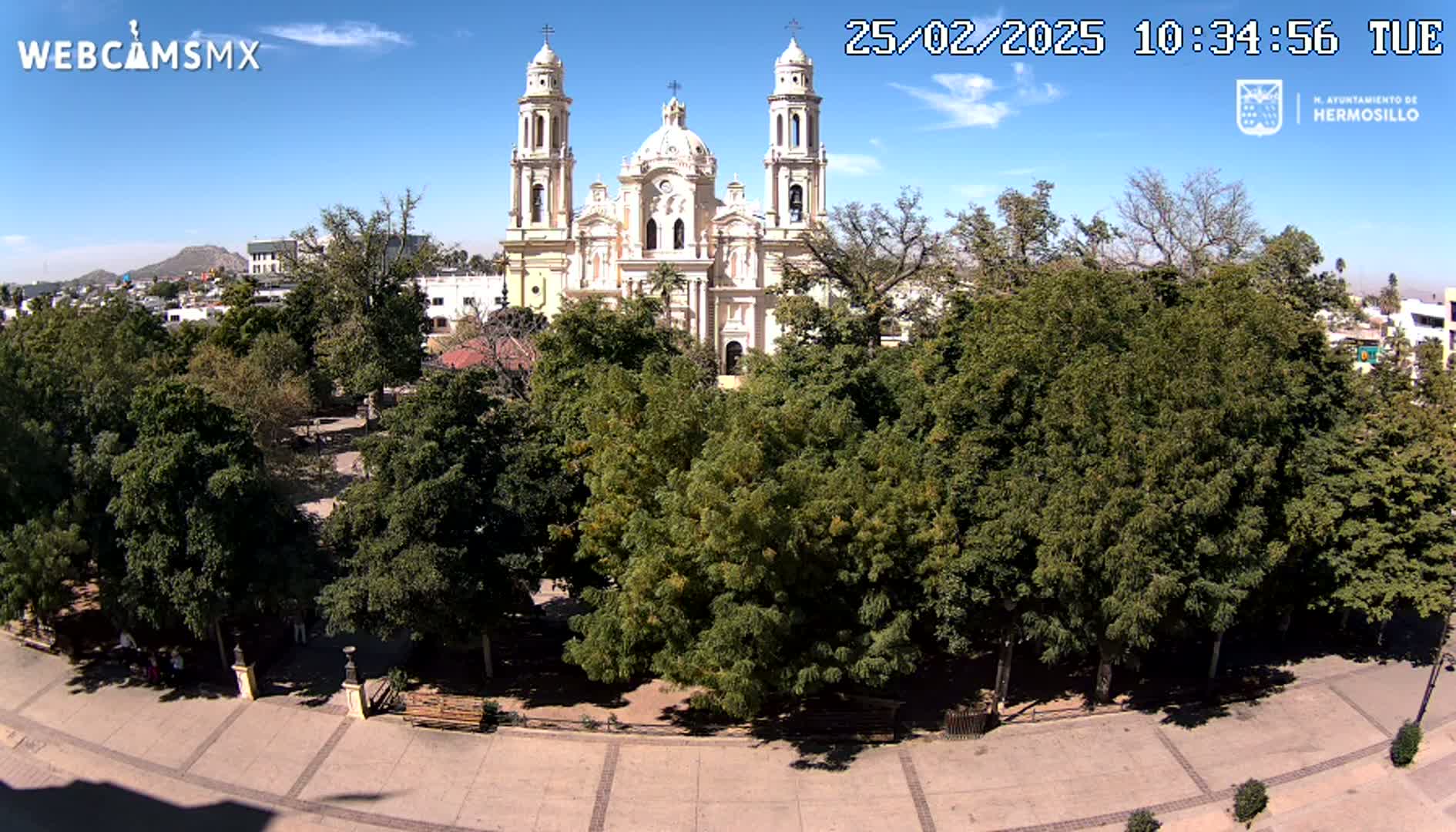 A large cathedral stands behind a plaza filled with leafy green trees under a clear blue sky.