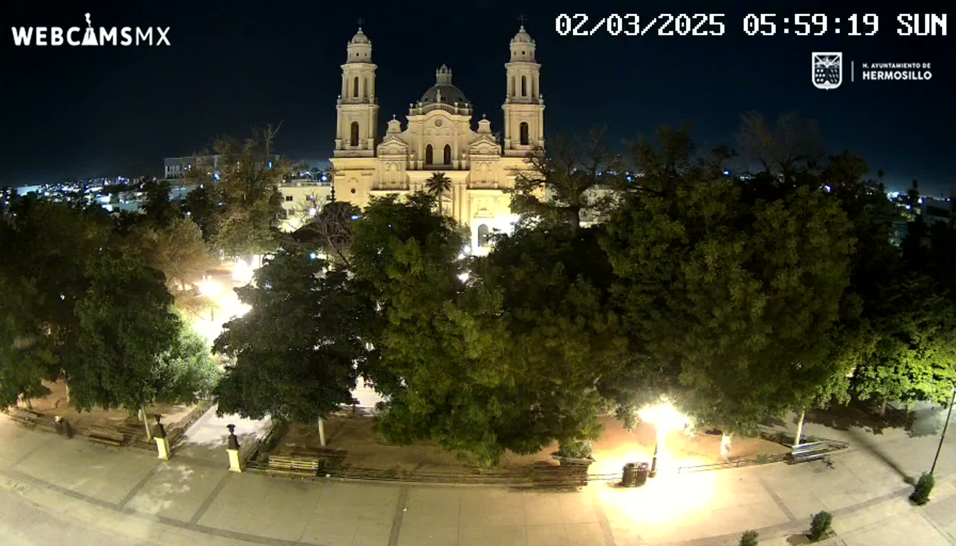 A brightly lit cathedral stands at night in a plaza surrounded by lush green trees and paved walkways under a clear, dark sky.
