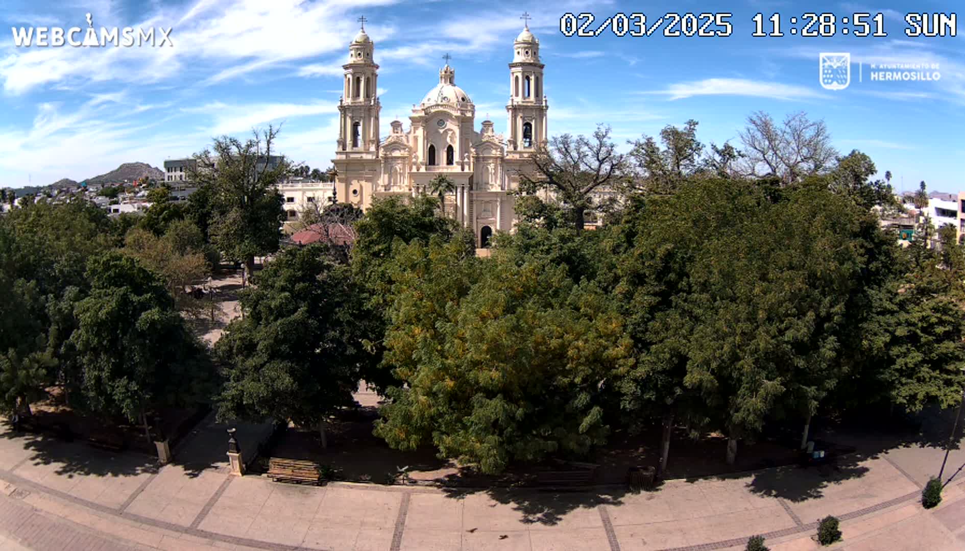 A large cathedral is situated behind a park with numerous leafy green trees on a sunny day.