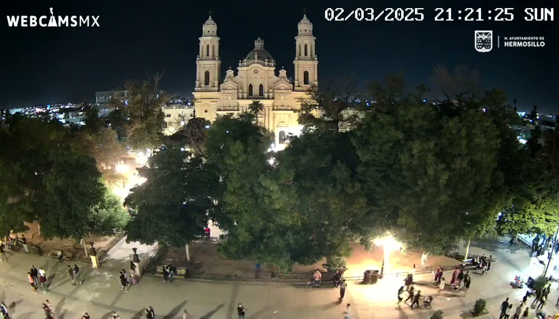 A large, illuminated cathedral stands at night in a plaza surrounded by lush green trees, with people strolling in the square under a clear, dark sky.
