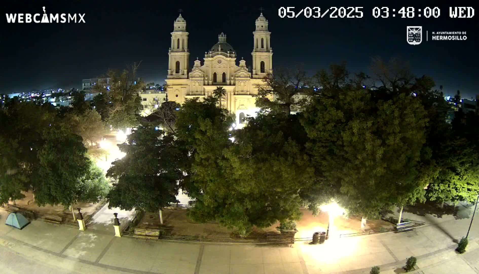 A nighttime, illuminated view of a plaza with lush green trees surrounding a large cathedral-like building.