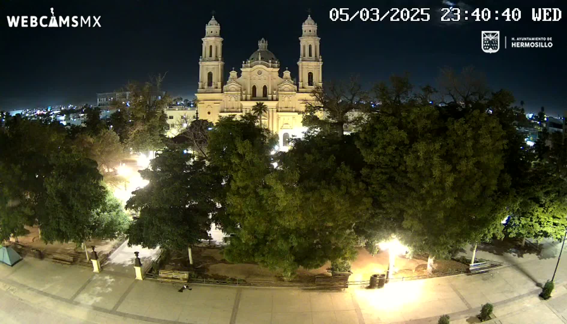 A brightly lit cathedral stands in a tree-lined plaza at night.