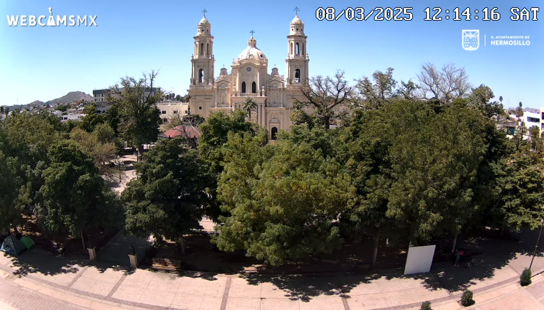 A large, light-beige cathedral stands behind a plaza filled with lush green trees under a clear, sunny sky.