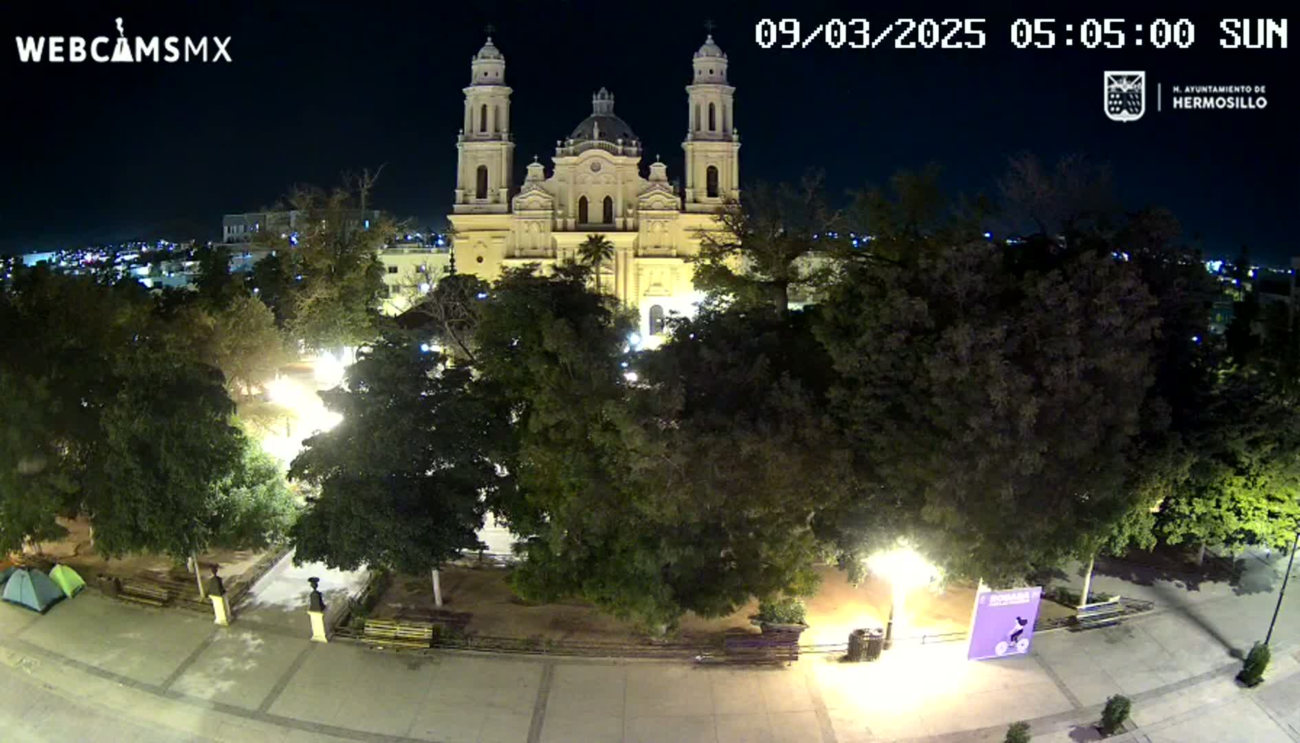 A nighttime, aerial view shows a brightly lit cathedral surrounded by a park with lush green trees, under a clear sky.
