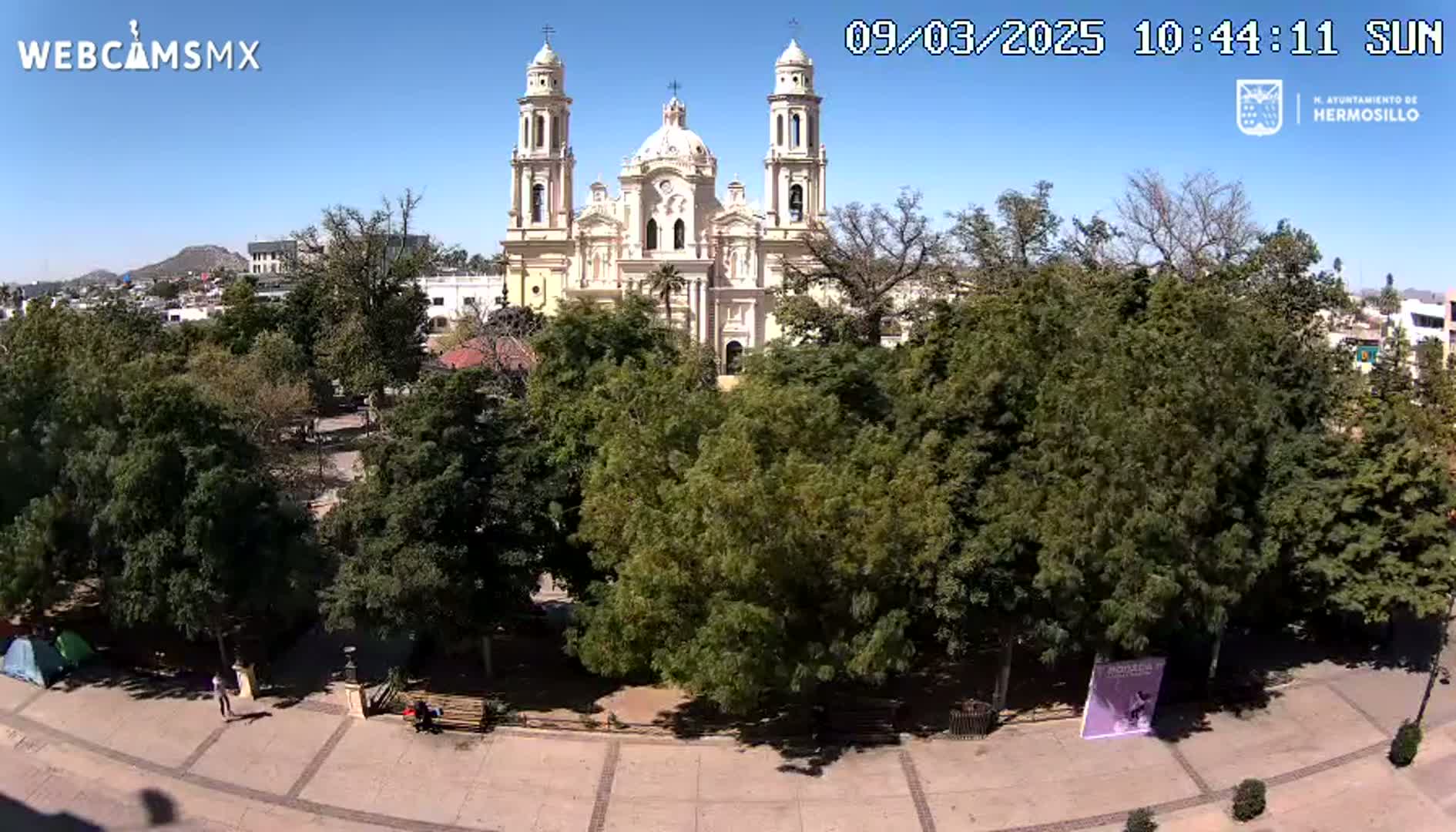 A large cathedral stands behind a plaza filled with leafy green trees under a clear, sunny sky.