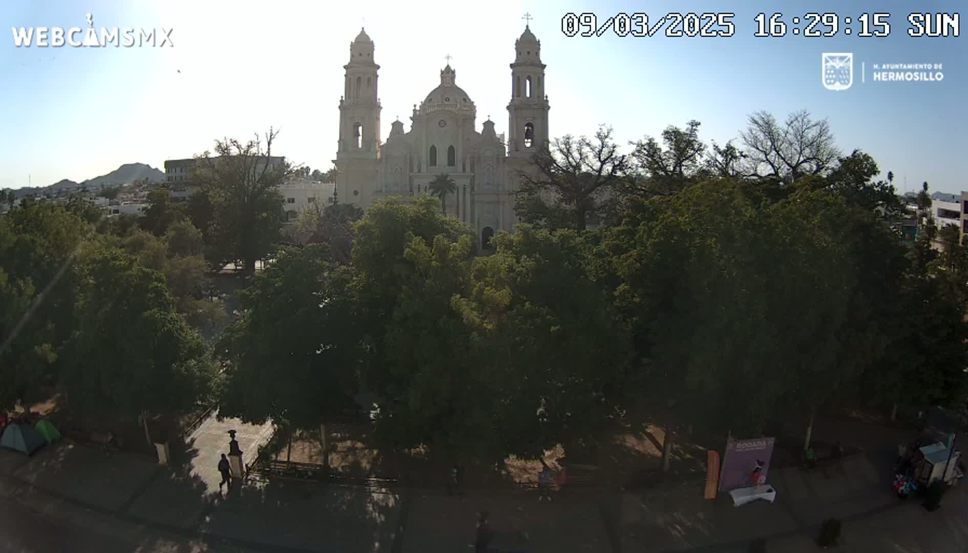 A large cathedral stands behind a leafy plaza with people walking on a sunny day.
