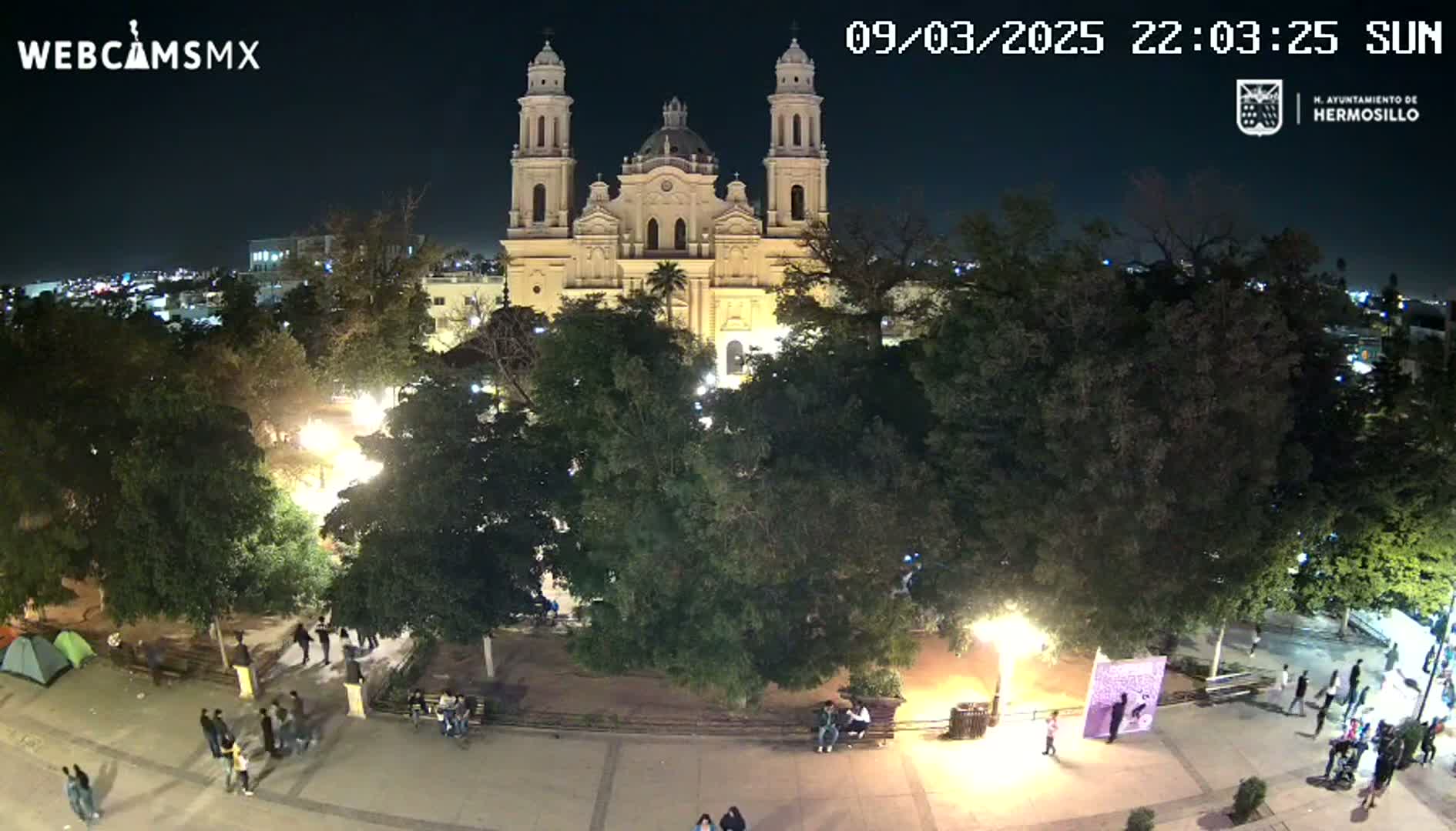 A large cathedral is illuminated at night, surrounded by a plaza with trees and people, under a clear sky.