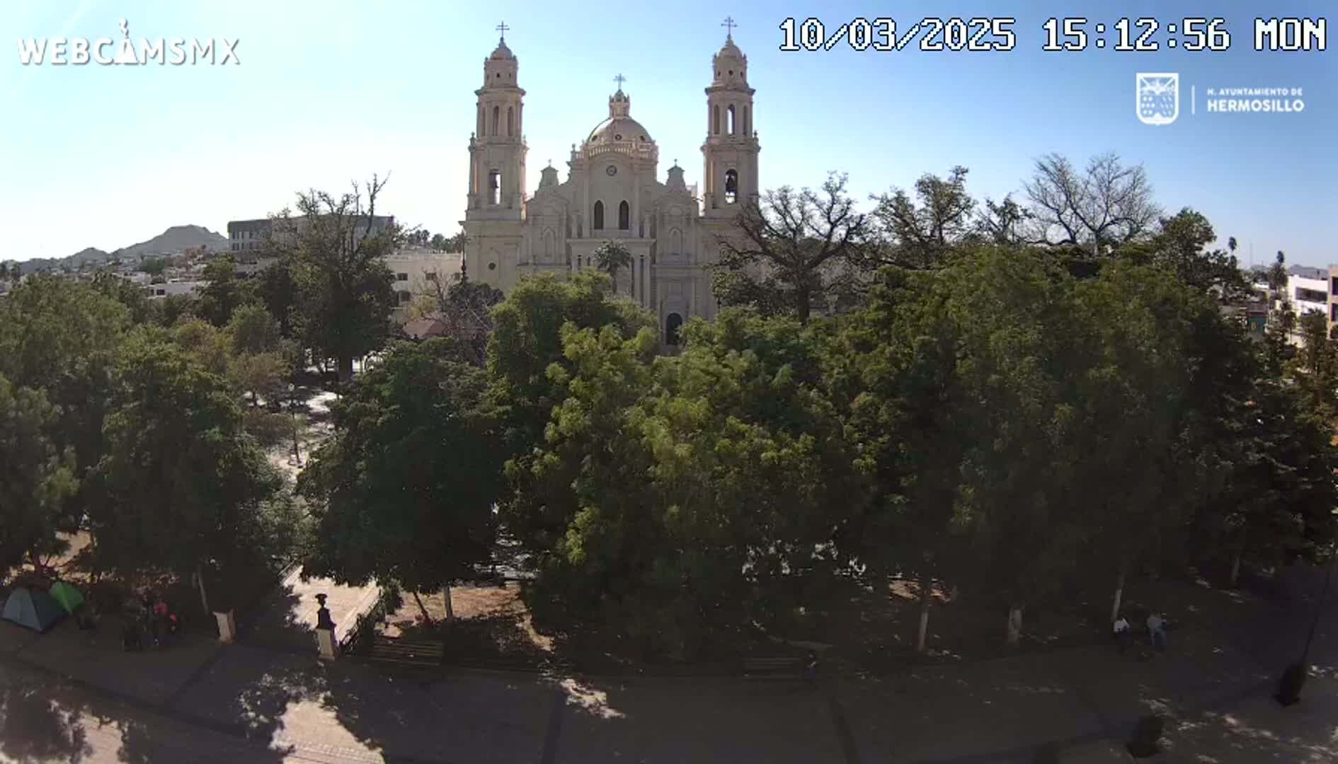 A large, light-colored cathedral stands behind a plaza filled with leafy green trees under a sunny sky.