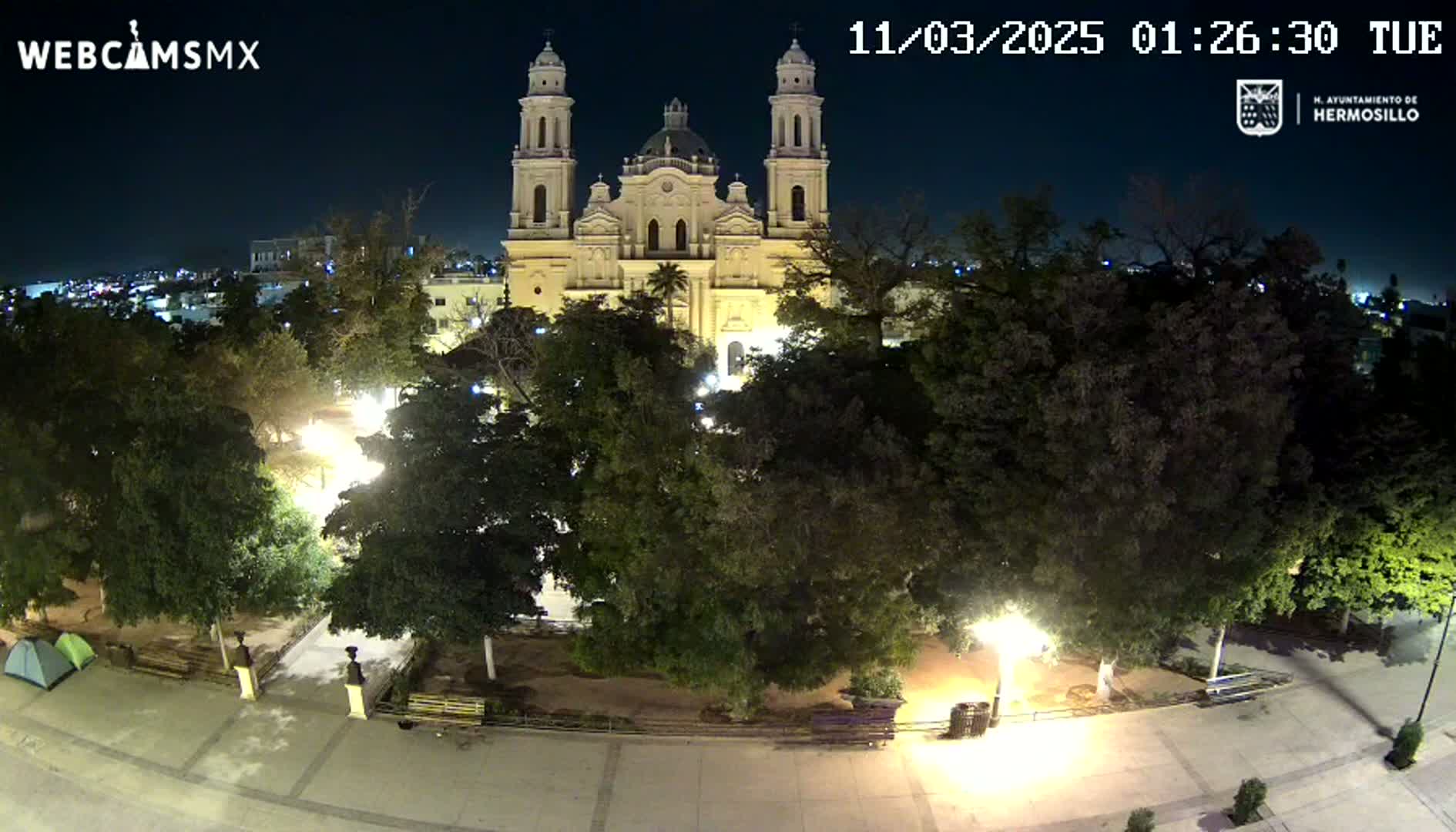 A large, light-colored cathedral stands in a nighttime park surrounded by lush, green trees and illuminated pathways under a clear, dark sky.