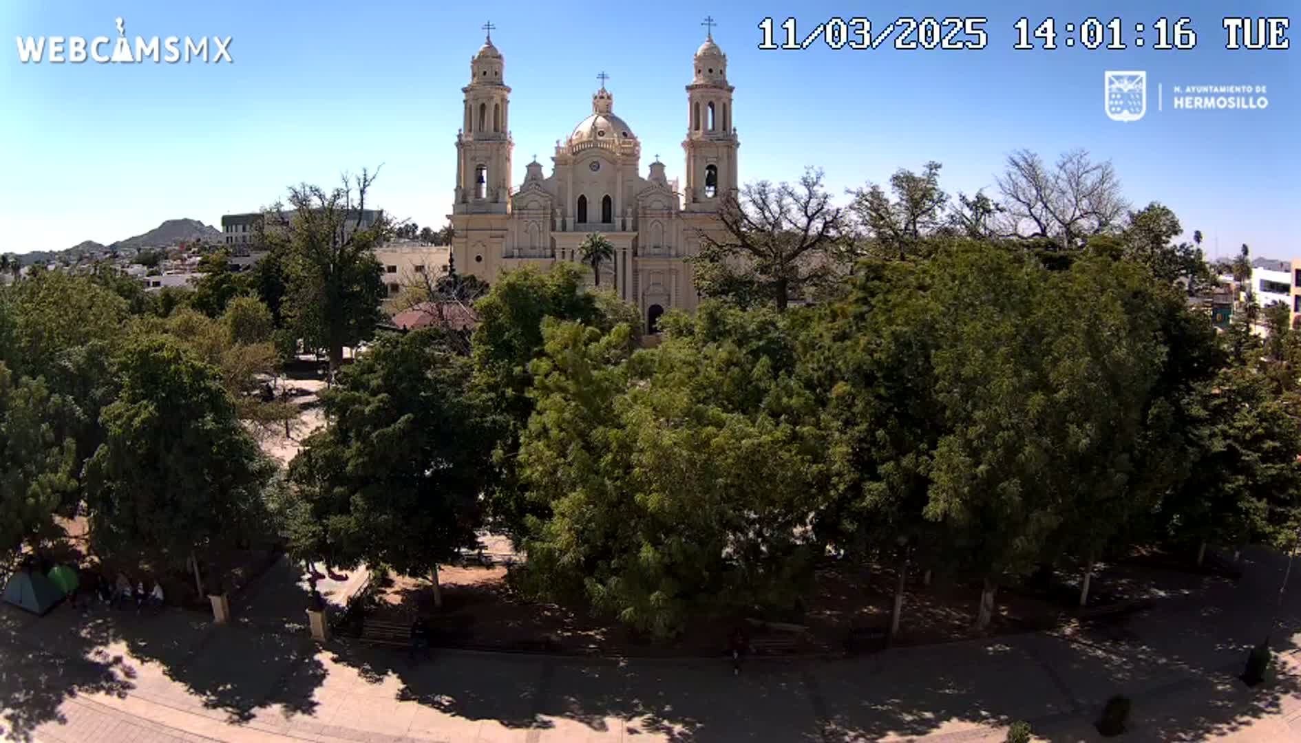 A large cathedral stands behind a plaza filled with lush green trees under a clear blue sky.