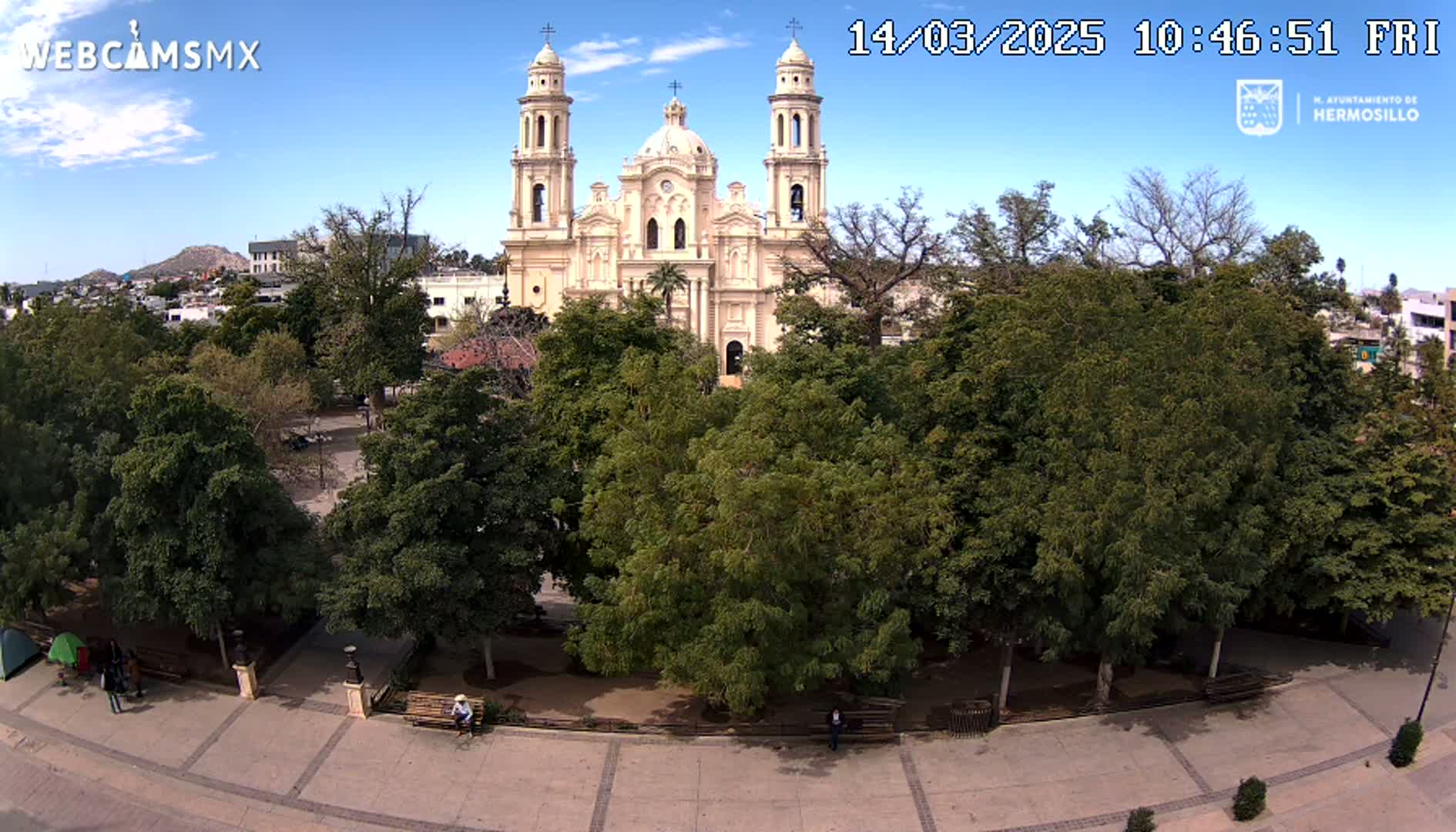 A large, light-beige cathedral stands behind a plaza filled with leafy green trees under a mostly clear blue sky.