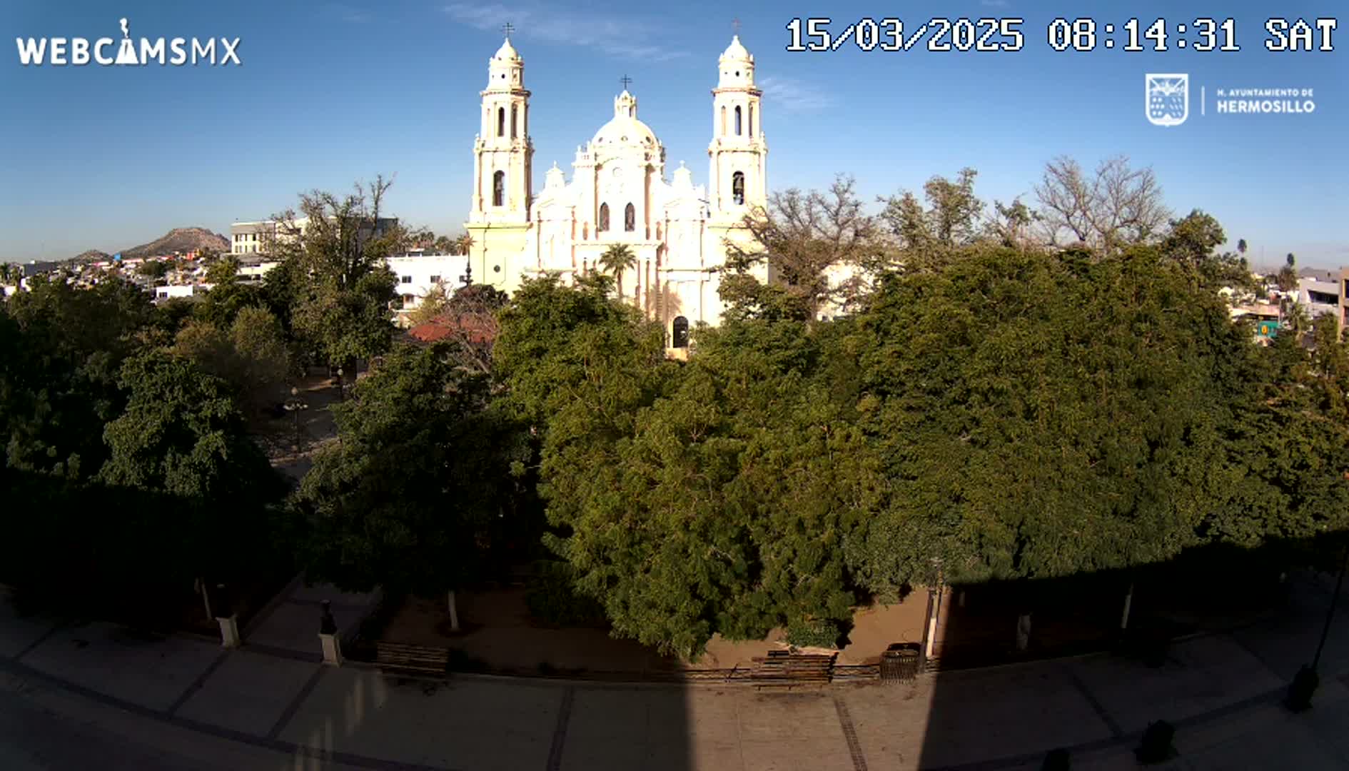 A large, light-yellow cathedral is visible behind a plaza filled with leafy green trees under a clear blue sky.