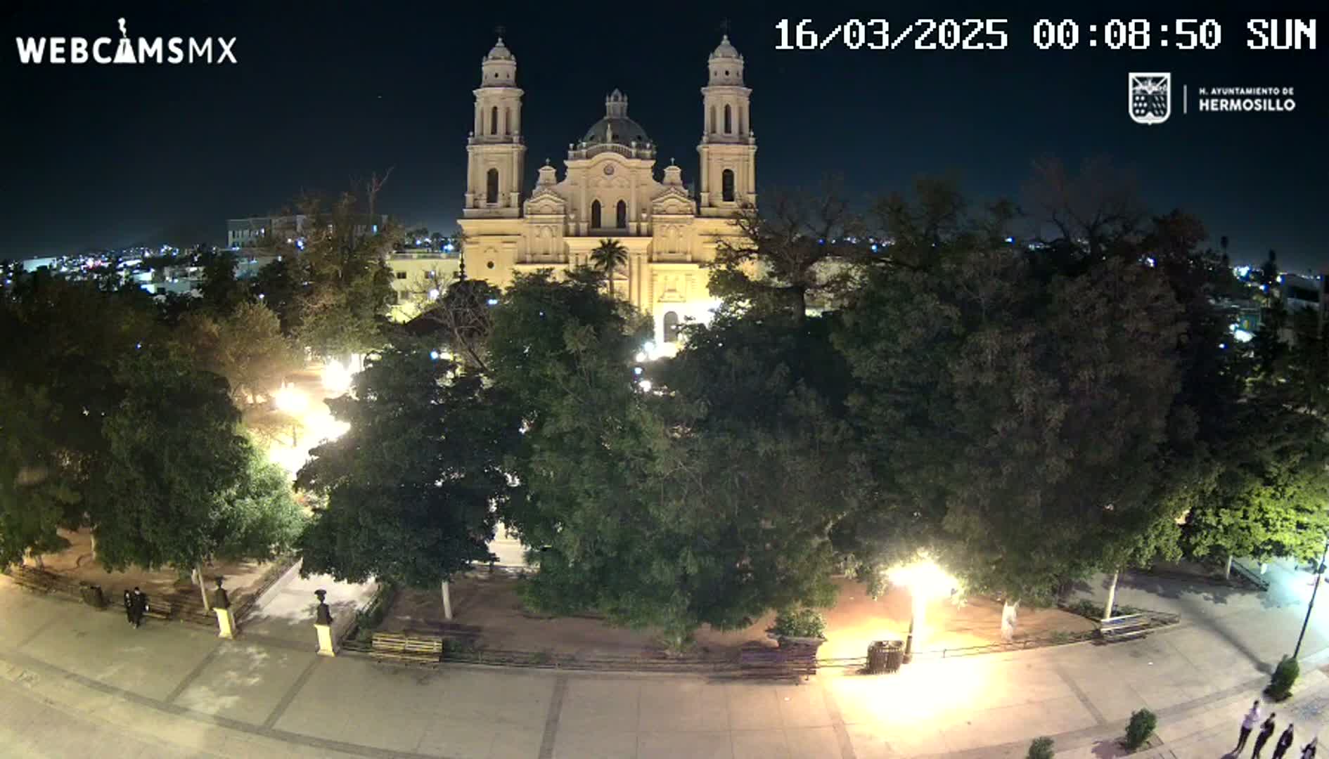 A brightly lit cathedral stands at the center of a tree-lined plaza at night.