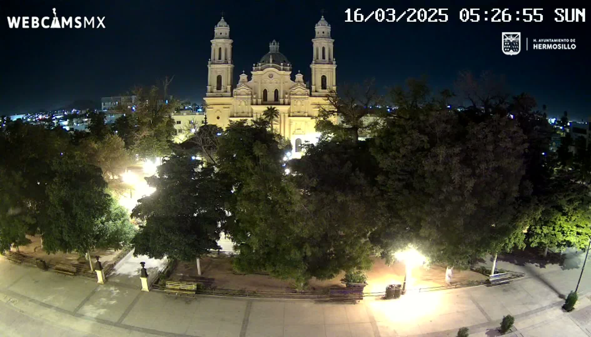 A brightly lit plaza at night, surrounded by leafy trees, features a large tan cathedral in the background under a clear, dark sky.