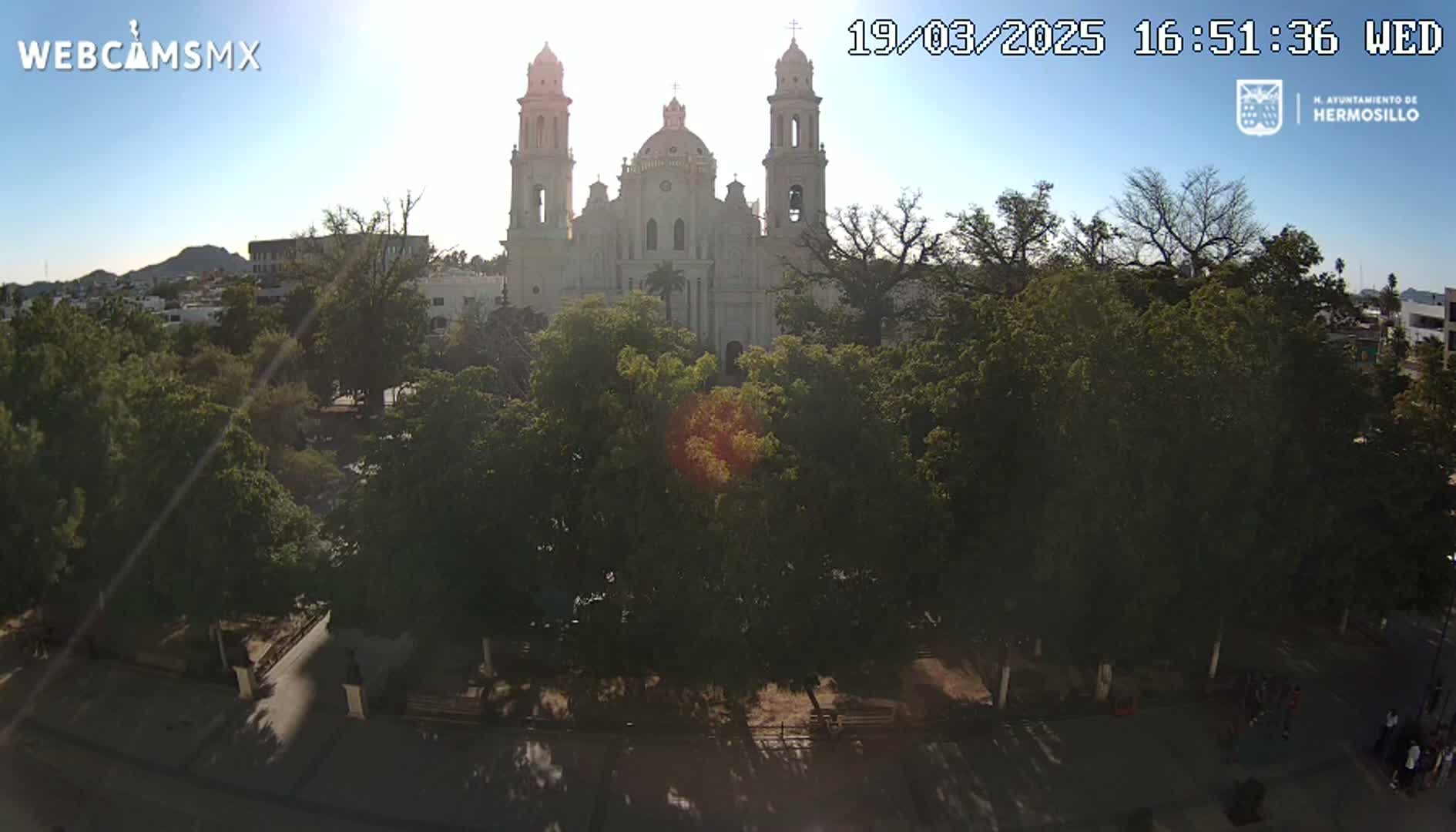 A large cathedral is seen from across a plaza filled with leafy green trees under a bright, sunny sky.
