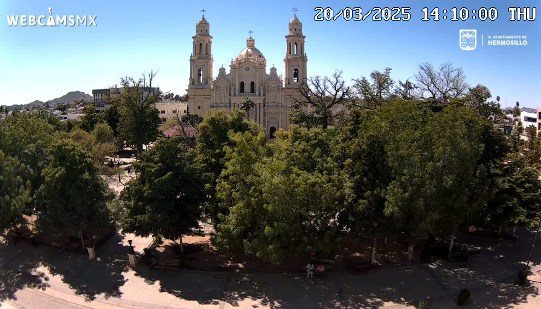 A large cathedral stands behind a plaza filled with leafy green trees under a clear blue sky.