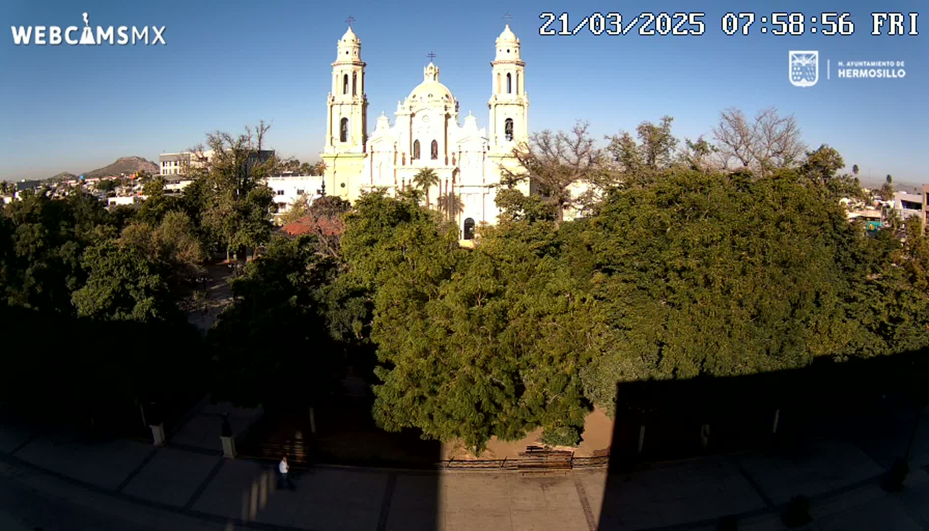 A large, light-colored cathedral stands behind a plaza filled with lush green trees under a clear, sunny sky.
