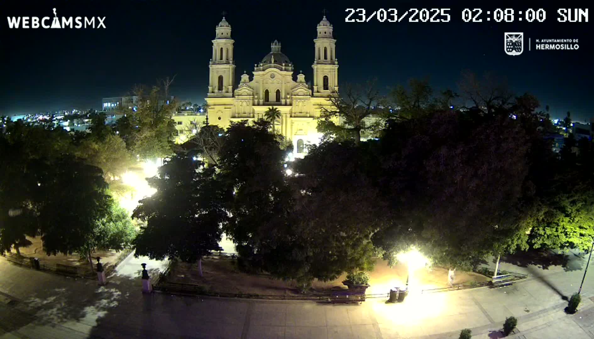 A brightly lit cathedral stands in a plaza at night, surrounded by leafy trees under a clear, dark sky.