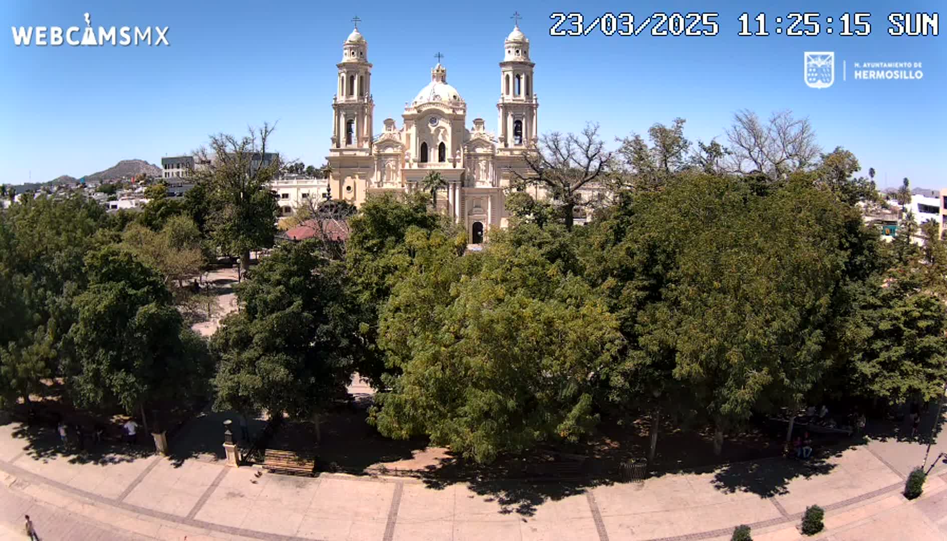 A large cathedral stands behind a plaza filled with leafy green trees under a clear blue sky.