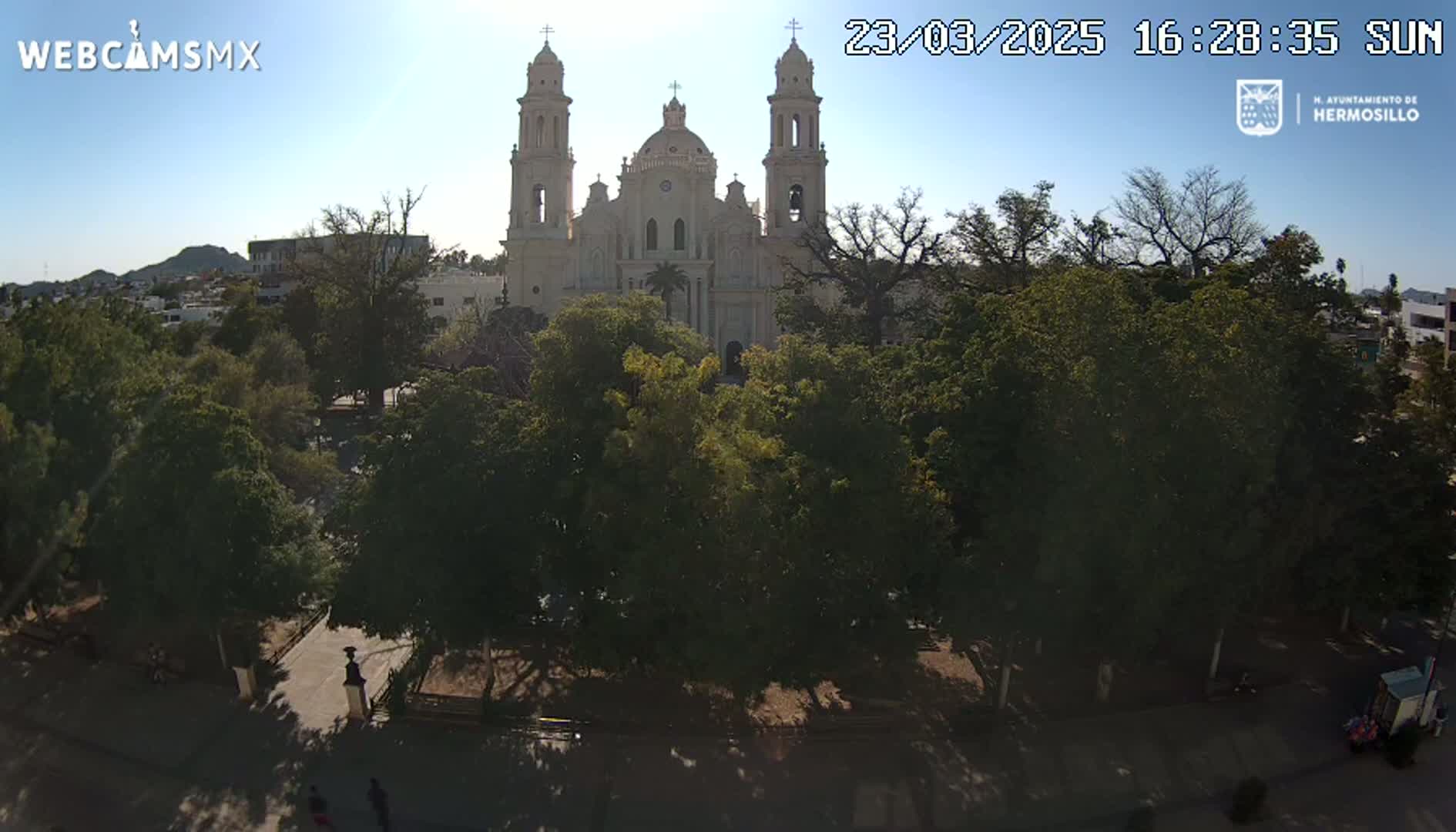 A large, light-colored cathedral stands behind a plaza filled with leafy green trees on a sunny day.