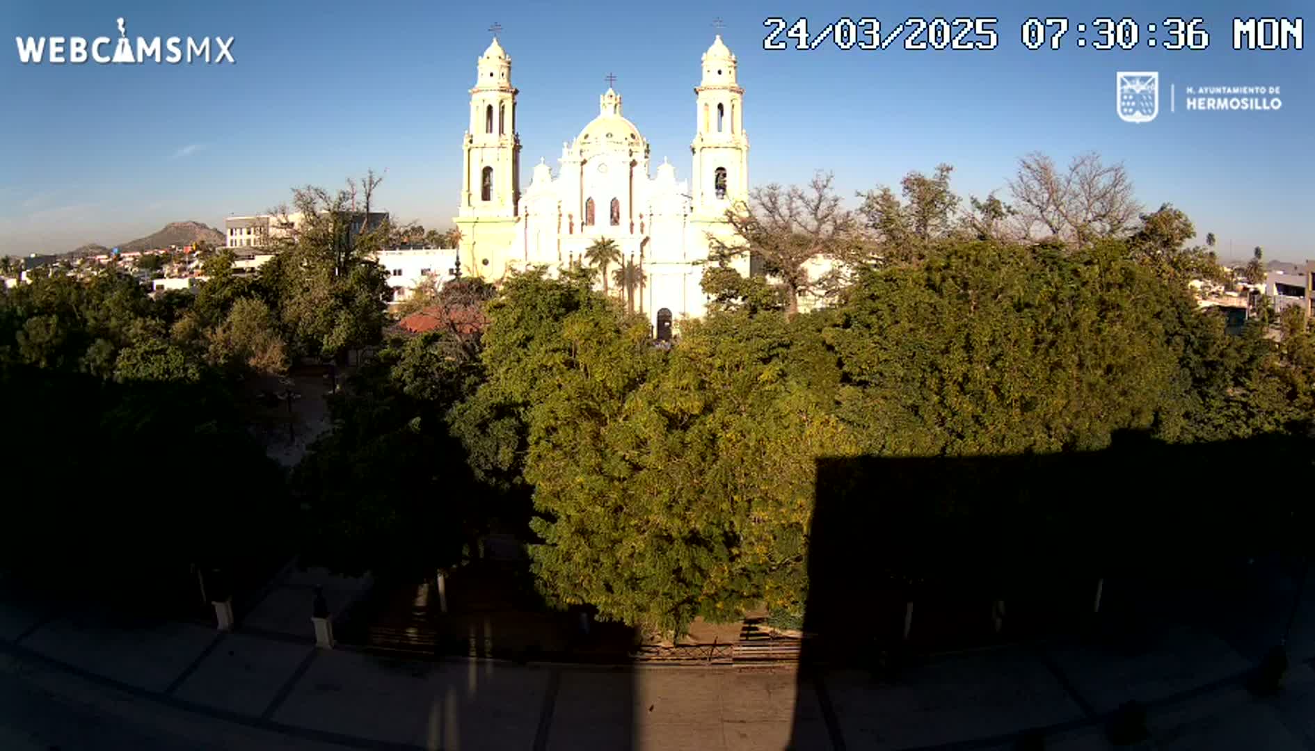 A large, light-yellow cathedral is visible beyond a plaza filled with leafy green trees under a clear, sunny sky.