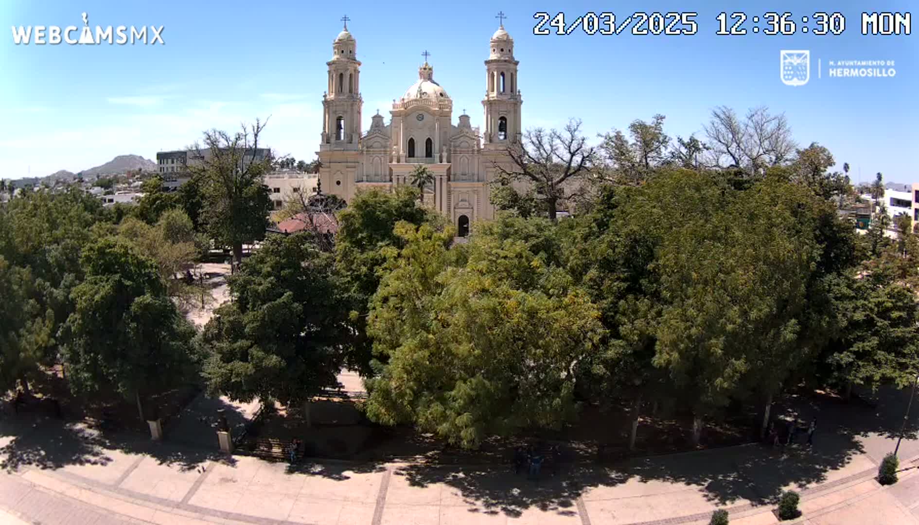 A large tan cathedral is surrounded by lush green trees in a sunny plaza.