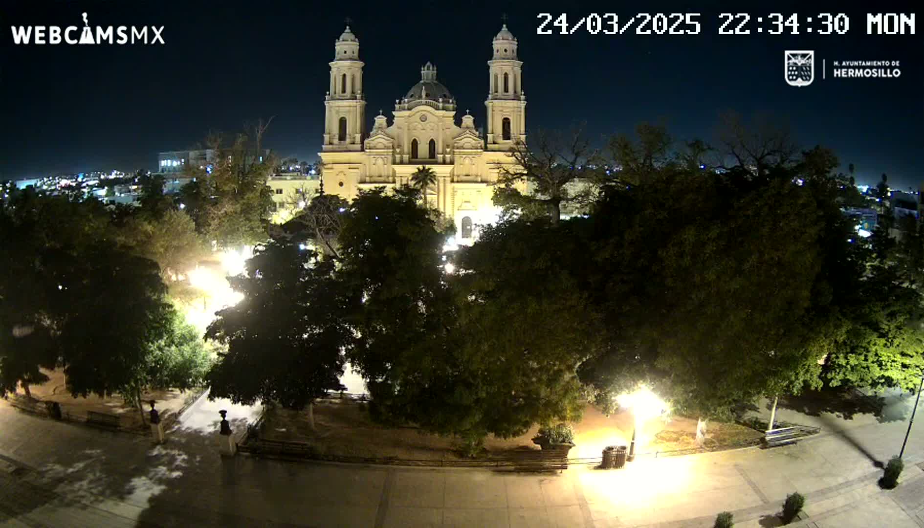 A brightly lit cathedral stands at night in a park surrounded by lush, dark green trees under a clear, dark sky.