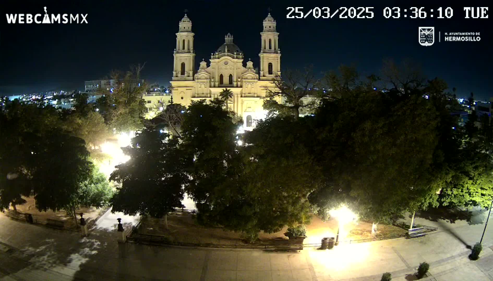 A brightly lit cathedral stands at night behind a plaza filled with leafy trees and illuminated pathways.