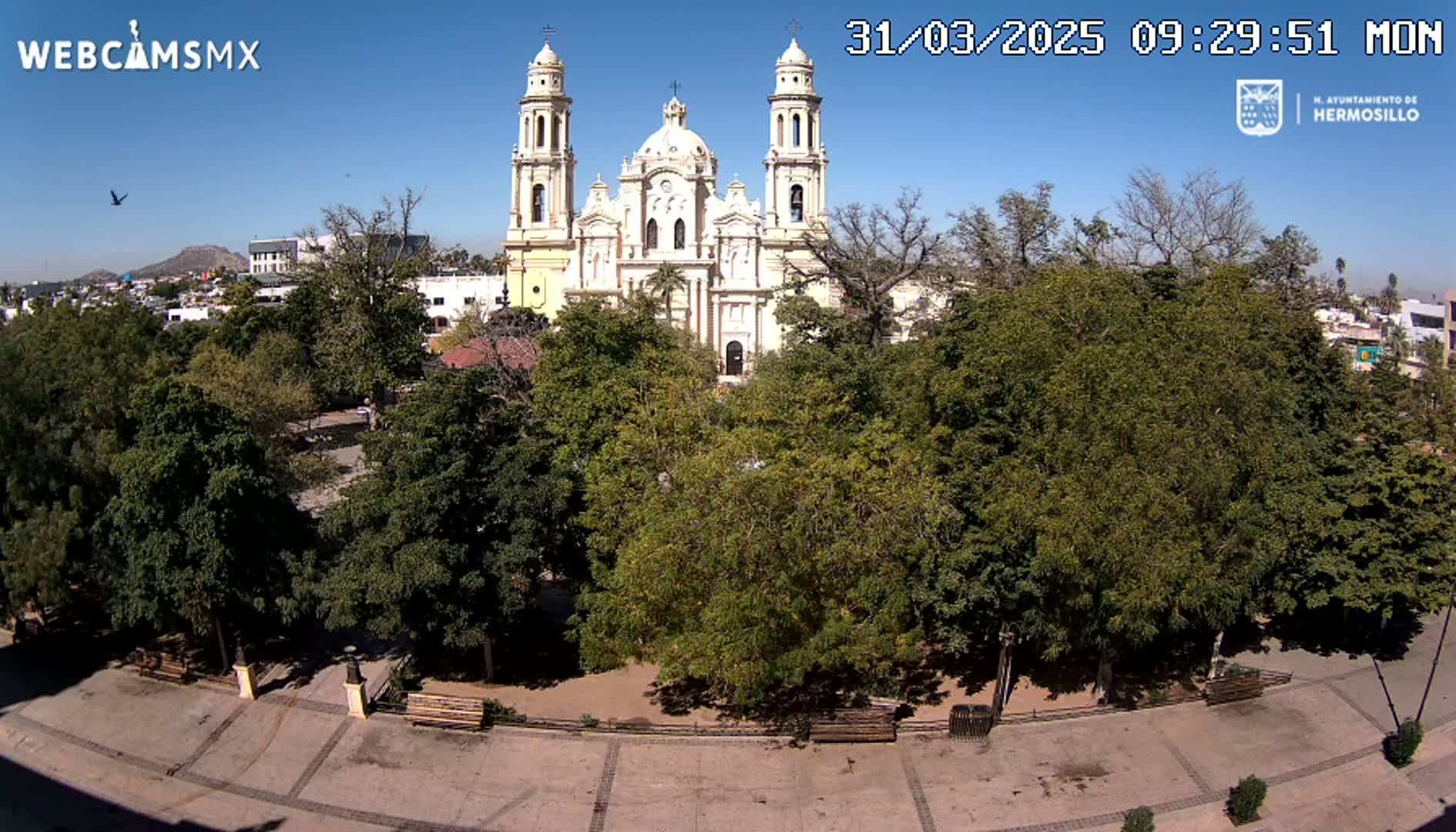 A large cathedral stands behind a plaza filled with leafy green trees under a clear blue sky.