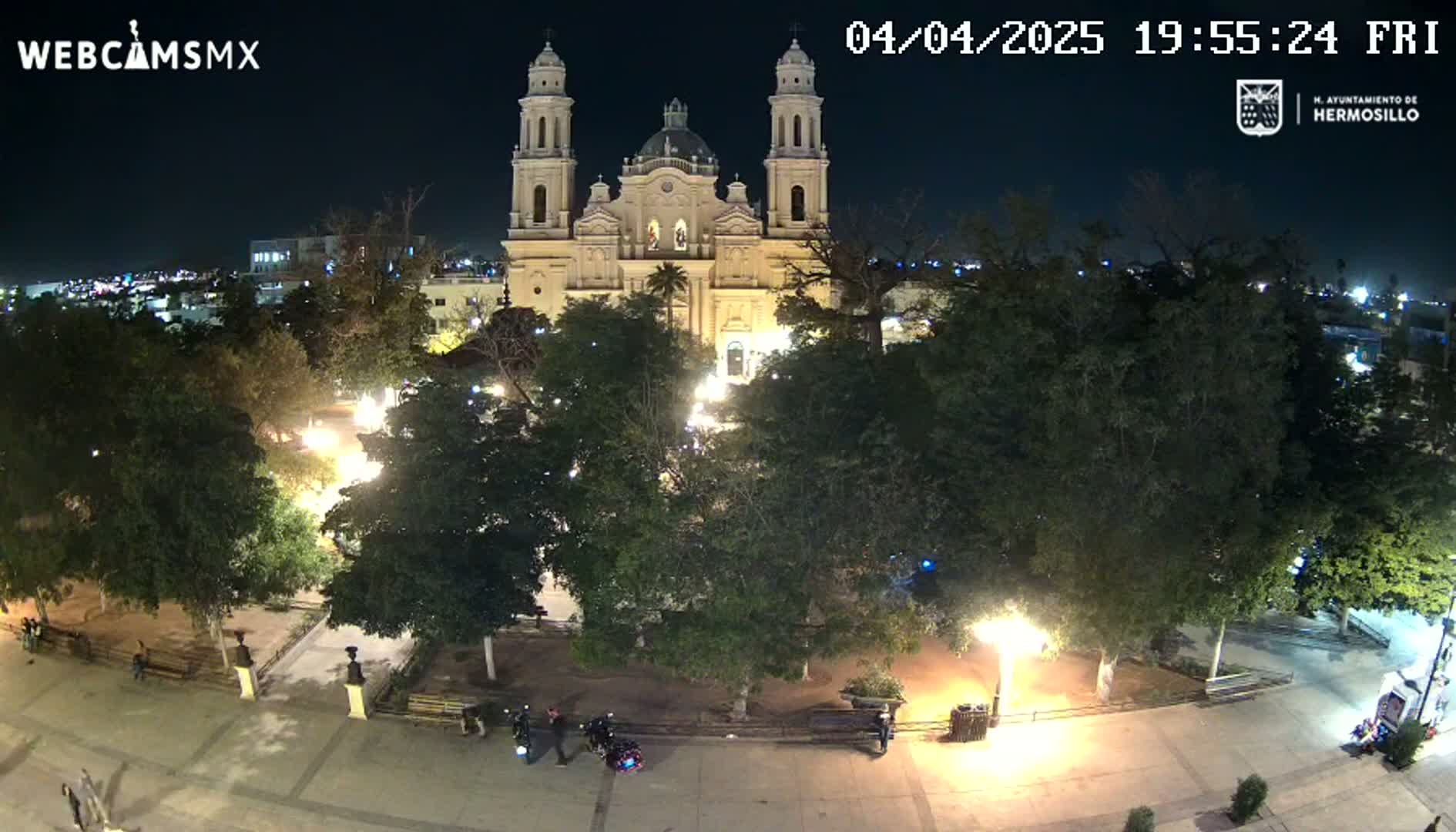 A brightly lit cathedral stands in a tree-lined plaza at night.