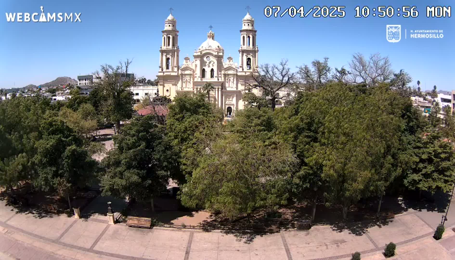 A large cathedral stands behind a plaza filled with leafy green trees under a clear blue sky.