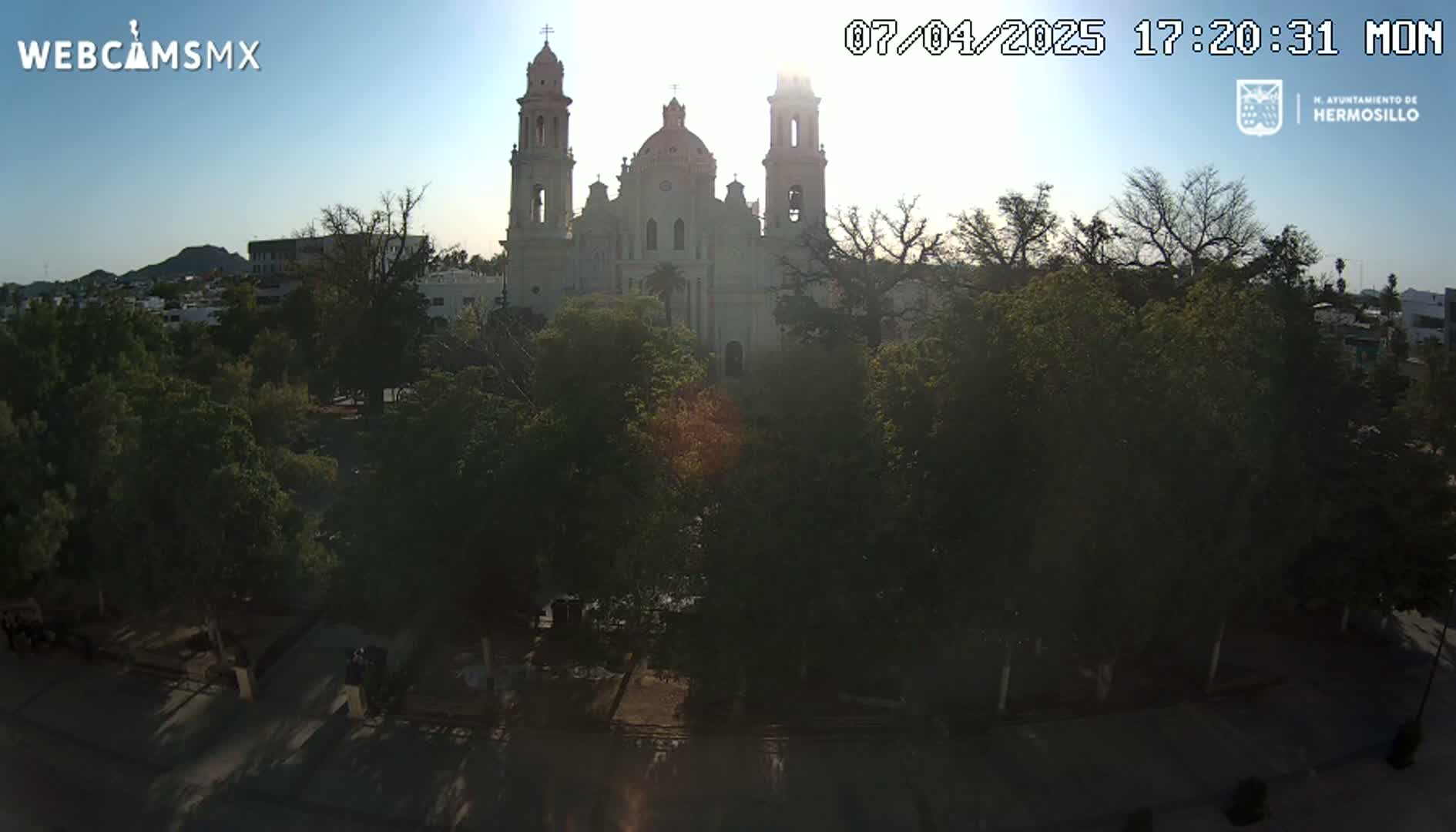 An aerial view shows a large, light-colored cathedral surrounded by lush green trees under a mostly clear, bright sky.