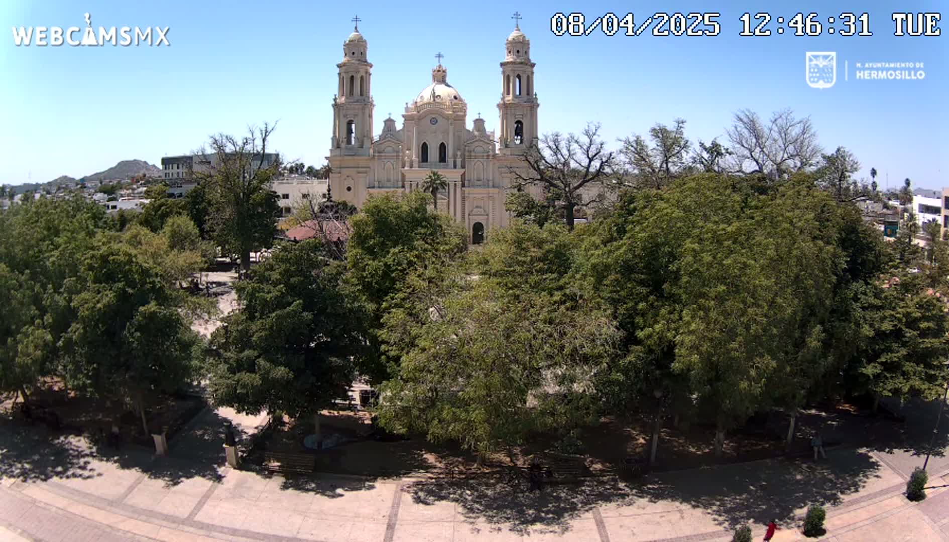 A large, light-colored cathedral stands in the center of a plaza surrounded by lush green trees under a clear blue sky.