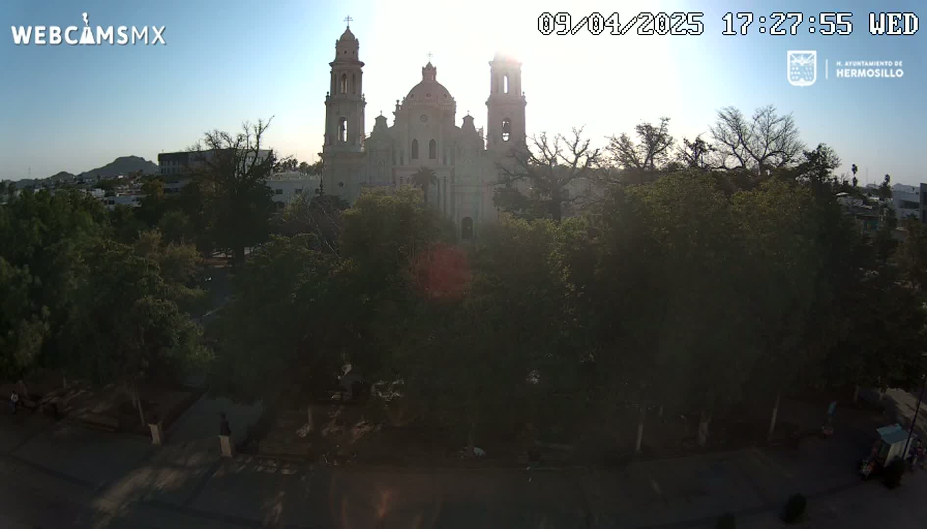 A large, light-colored cathedral is visible through a canopy of trees in the late afternoon sun.