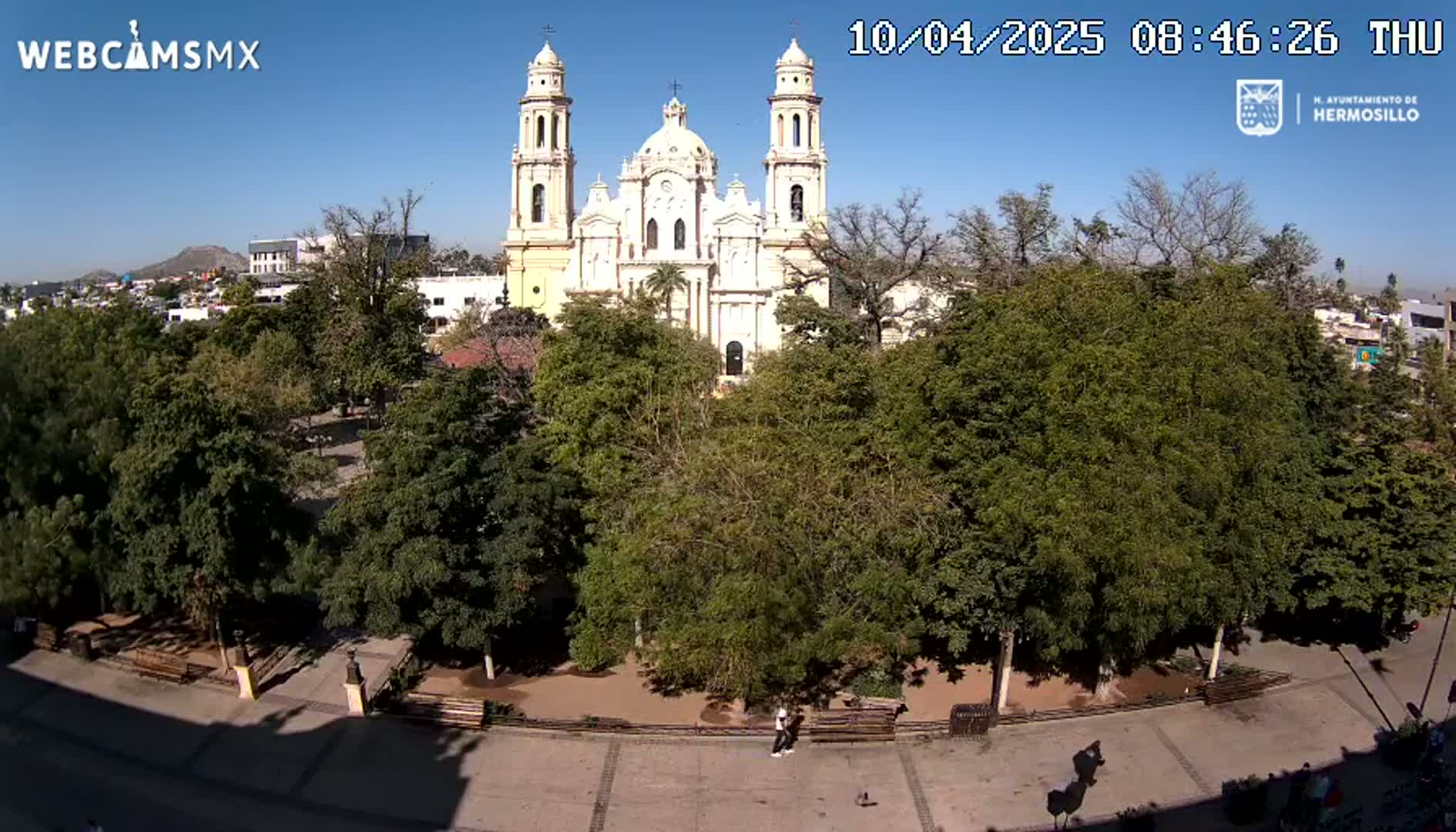 A large cathedral is visible beyond a tree-filled plaza on a sunny day.