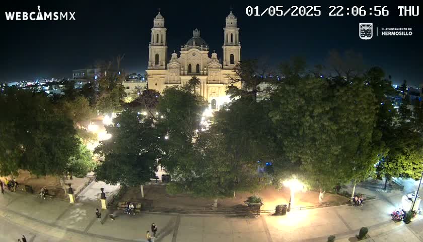 At night, a brightly lit cathedral stands in a plaza surrounded by trees and a few people walking under a clear, dark sky.