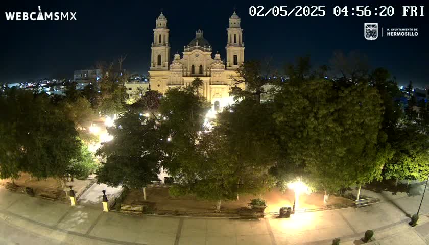 A brightly lit cathedral stands in a plaza surrounded by trees at night.