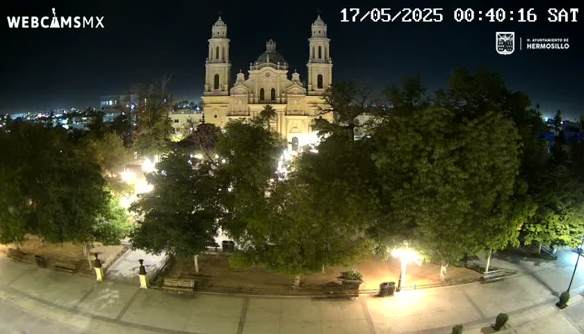 A brightly lit cathedral stands in a plaza surrounded by lush green trees at night.