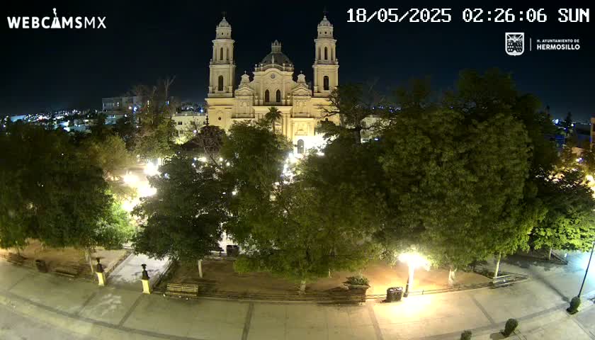 A brightly lit cathedral stands in a plaza at night, surrounded by lush green trees and illuminated pathways.