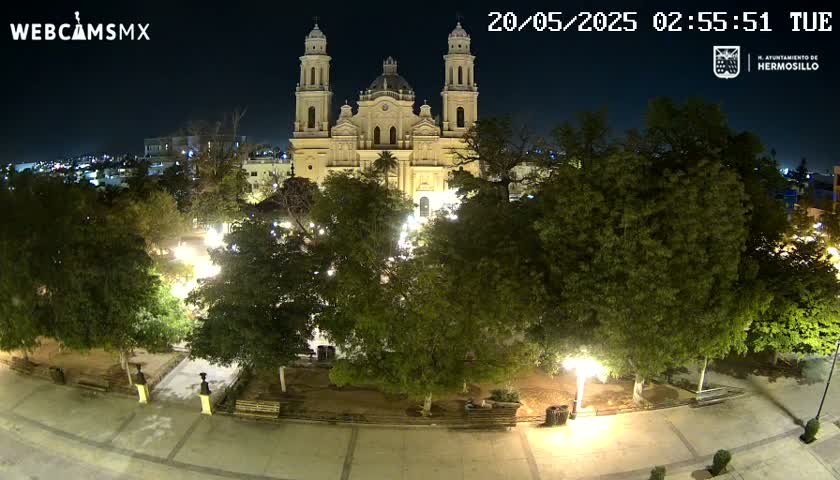 A large, illuminated cathedral stands in a tree-lined plaza at night.