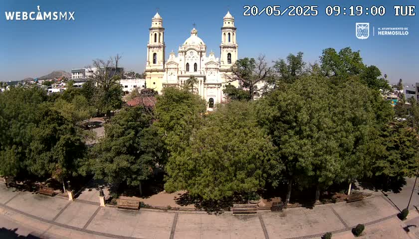 A large, light-yellow cathedral stands behind a plaza filled with leafy green trees on a sunny day.