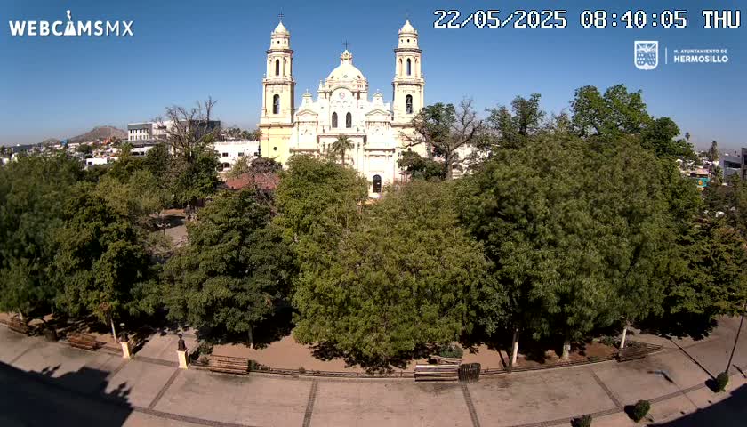 A large, light-yellow cathedral stands in the center of a plaza surrounded by lush green trees under a clear blue sky.