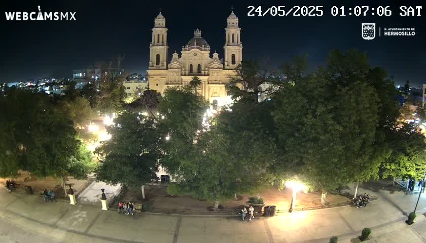 A brightly lit cathedral stands at night in a plaza surrounded by lush green trees and a few people.