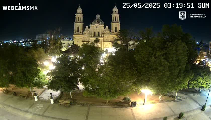 A large, illuminated cathedral stands in a plaza at night, surrounded by lush green trees and park benches under a clear sky.