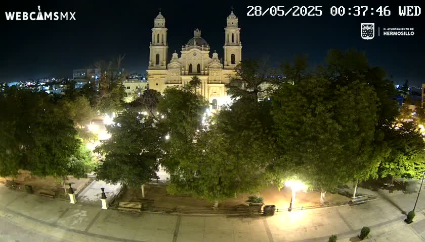 A brightly lit cathedral stands at the center of a plaza surrounded by leafy green trees at night.