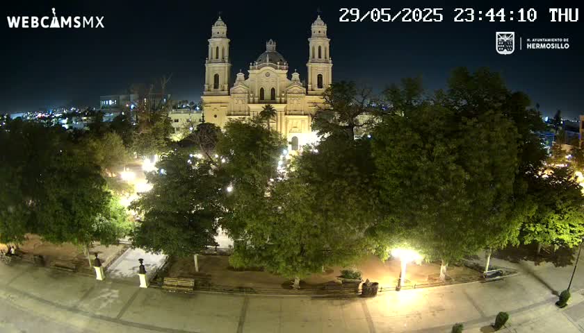 A large, illuminated cathedral stands at night in a plaza surrounded by leafy green trees and softly lit pathways.